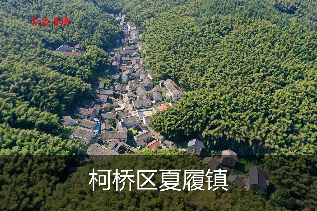 柯桥区夏履镇